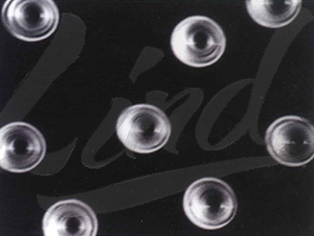 聚焦膜科技創(chuàng)新應(yīng)用，「鄰得膜醫(yī)療」拓展膀胱癌早篩產(chǎn)品