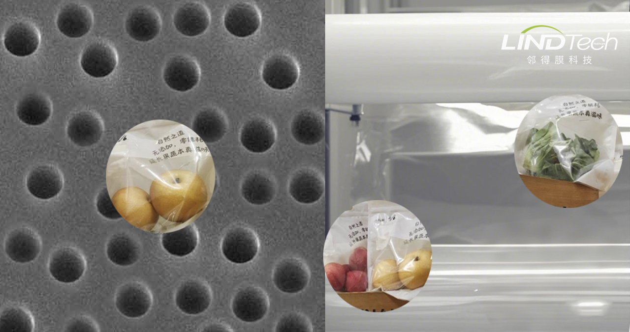 核孔膜在常溫物理與自發氣調保鮮中的應用探索