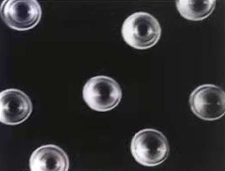 攻克“卡脖子”技術，鄰得膜如何用30年核孔膜研究打破海外壟斷？