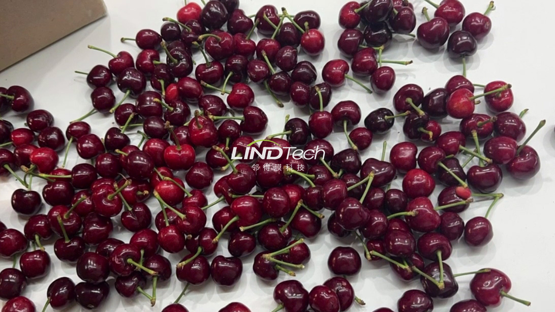 核孔膜保鮮箱：讓嬌嫩的甜櫻桃遠(yuǎn)行無(wú)憂